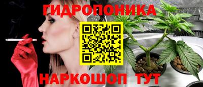 стафф Севастополь