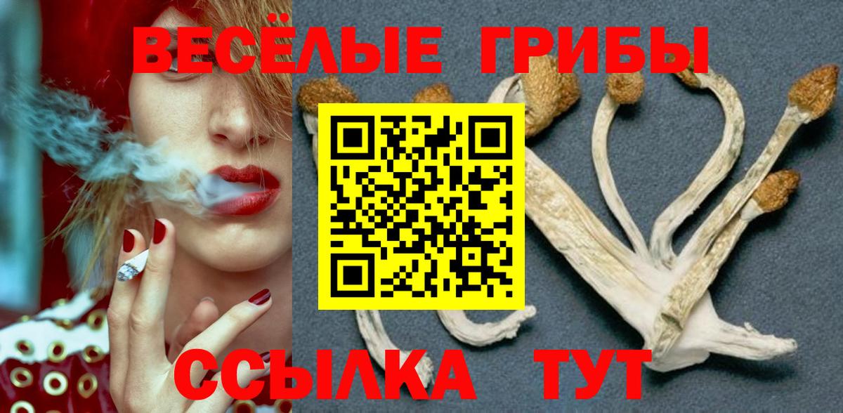 Псилоцибиновые грибы ЛСД  Псилоцибиновые грибы Psilocybe  Севастополь  Вход с VPN 