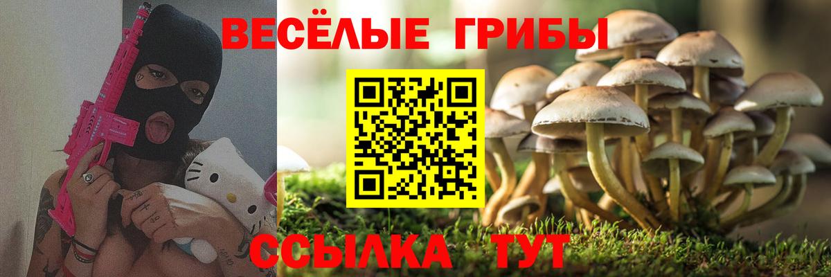 Галлюциногенные грибы ЛСД Севастополь